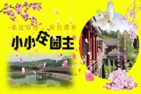 小小庄园主主题活动课